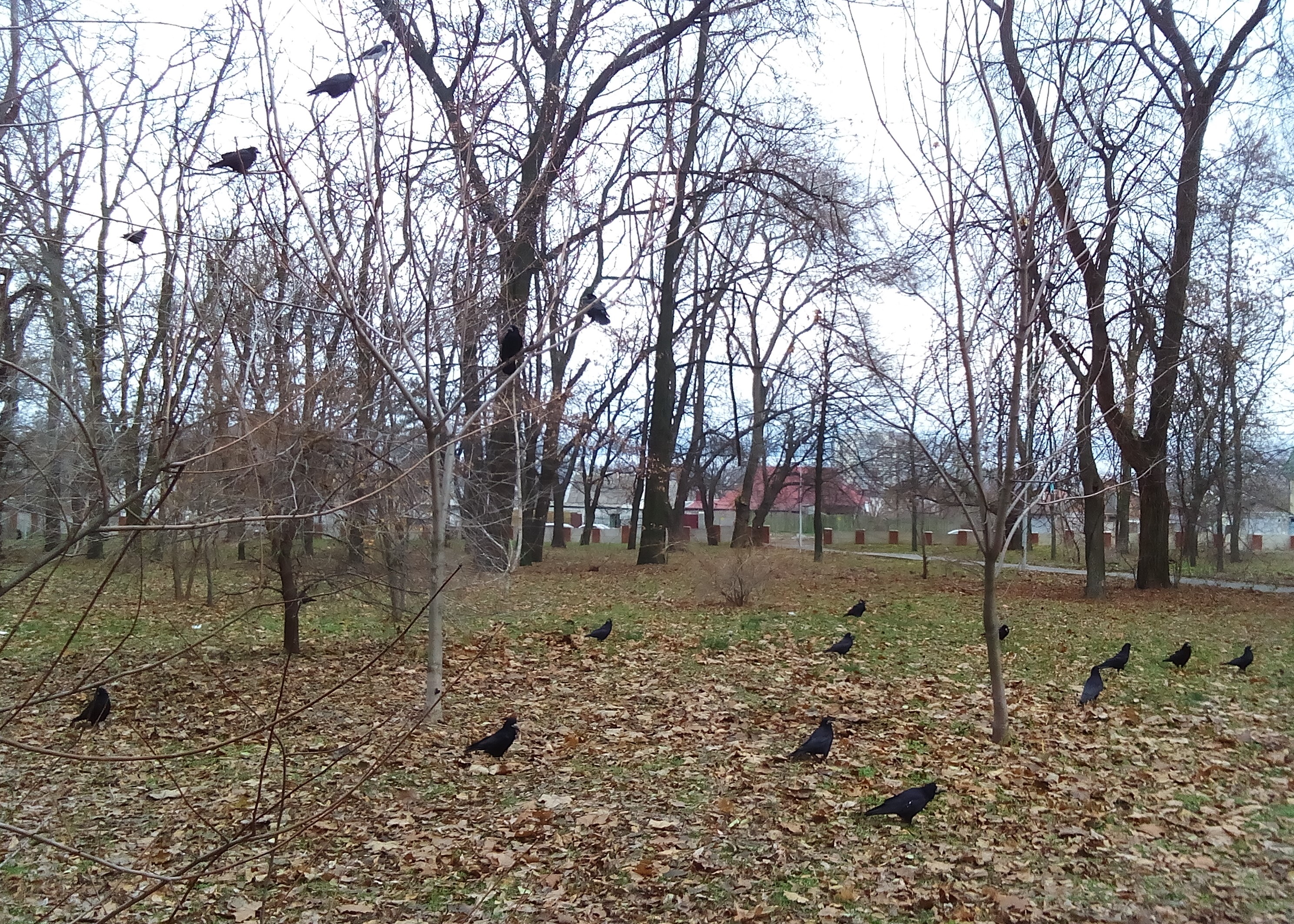 photograph of location of sound