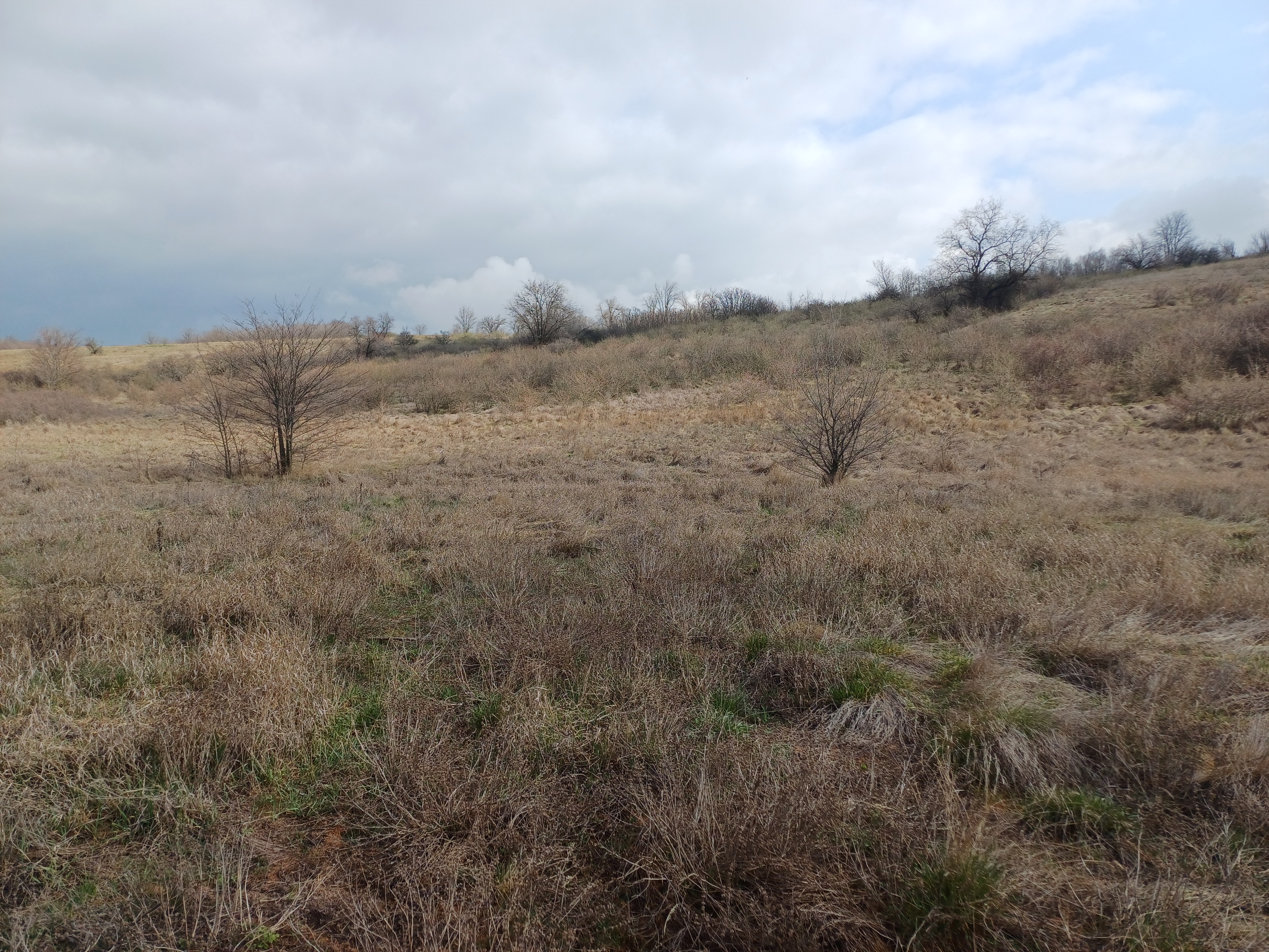 photograph of location of sound