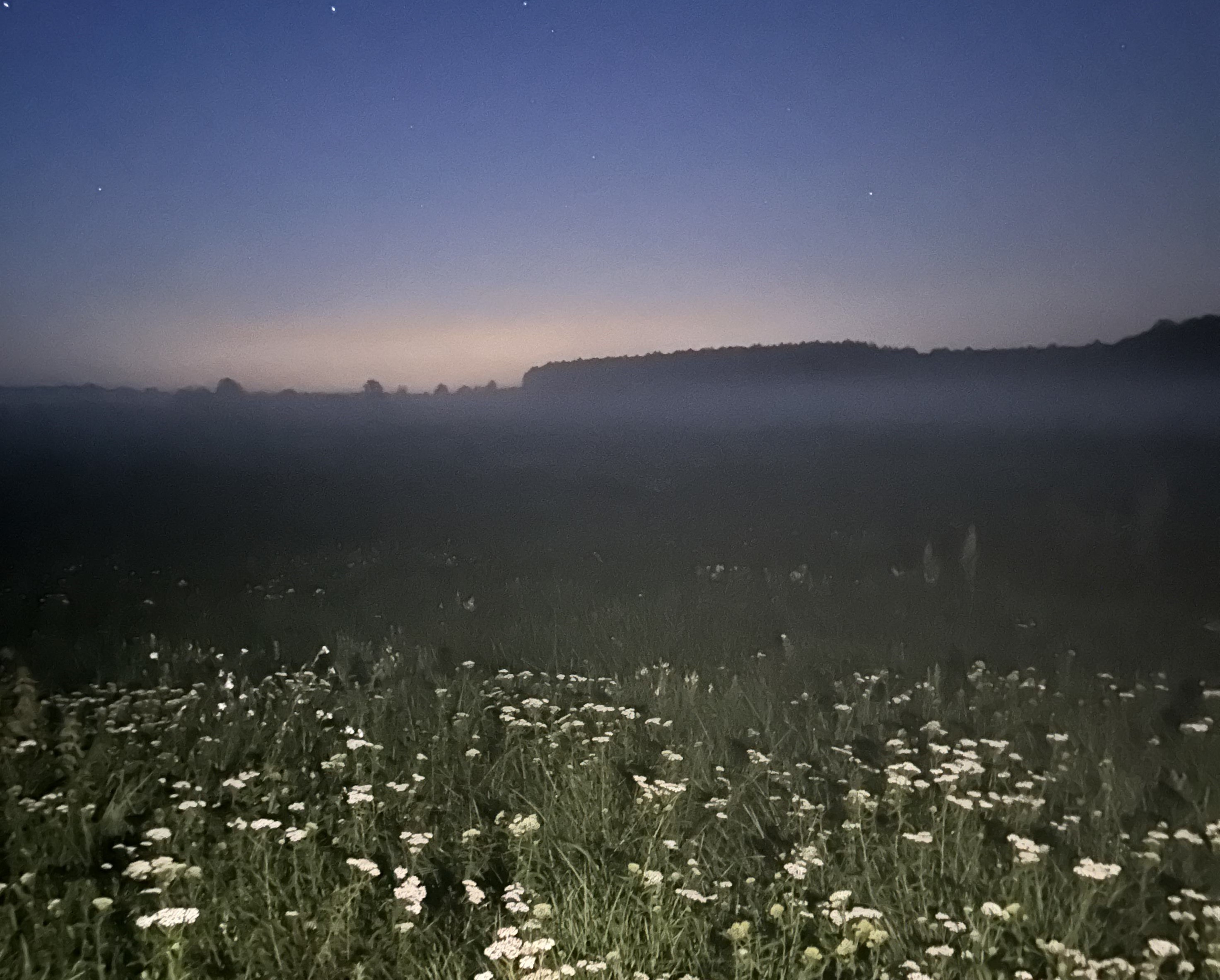 photograph of location of sound