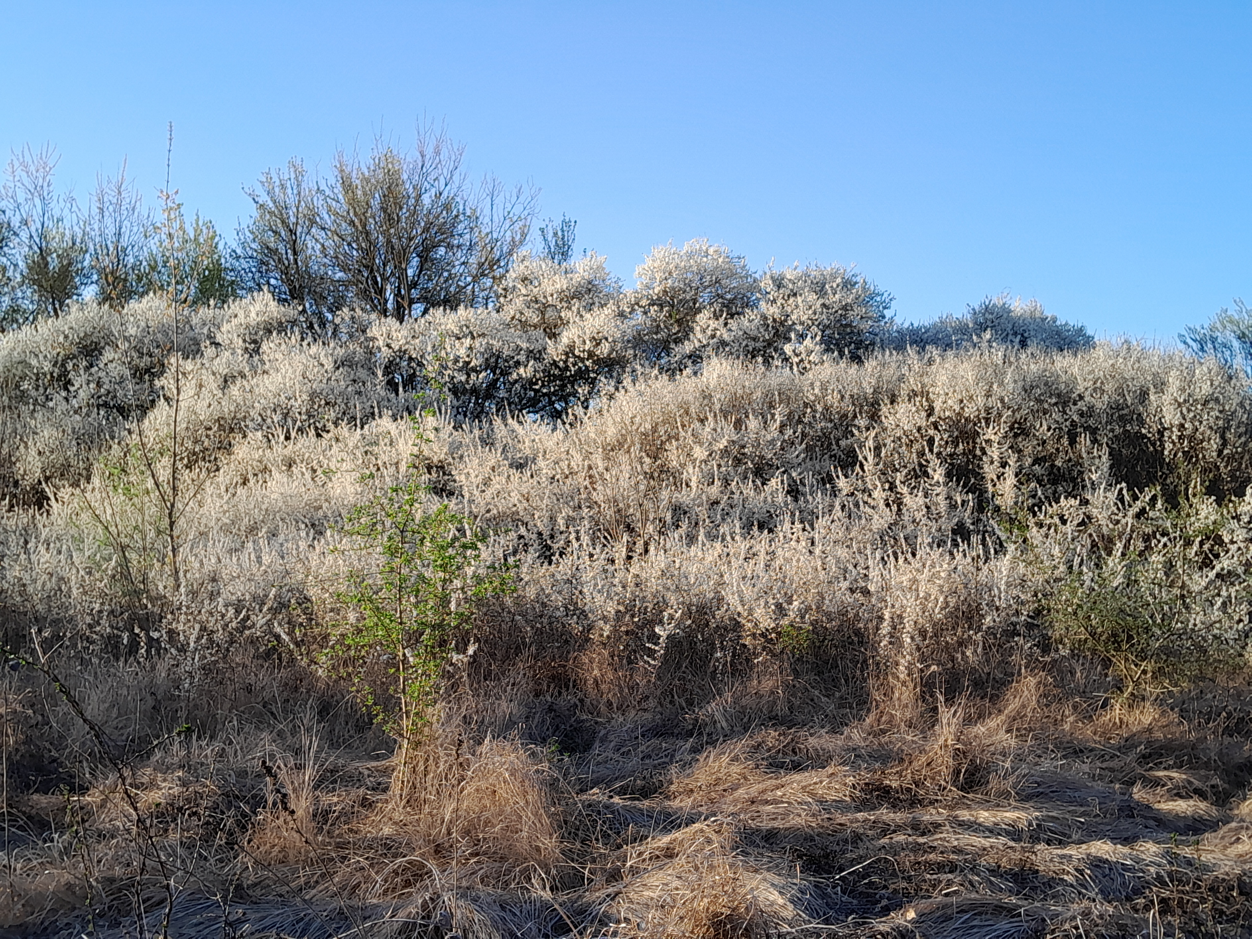 photograph of location of sound